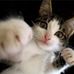 Helen Knight - Facebook