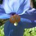 Helen Knowles - Facebook