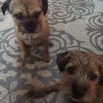 Helen Griffin Kunze - @kunzehelen - Instagram