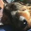 Helen Lai - @helenlai1975 - TikTok
