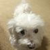 Helen Lance - Facebook
