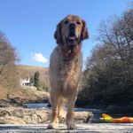 Helen Lance-marsden - @misshellie70 - Instagram