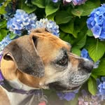 Helen Langdon Burnett - @langdonburnett - Instagram