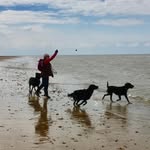 Helen Large - @helenlarge2 - Instagram