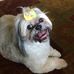 Helen Larson - Facebook