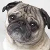helenlarson3f43d7 - @helenlarson3f43d7 - TikTok