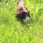 Helen Lavender - @lavender7739 - Instagram