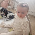 Helen Tucker Lavender - @helenlavo - Instagram