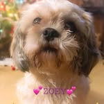 Helen Layman - @baxoset232 - Instagram