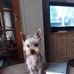 Helen Leggate - Facebook