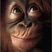 Helen Leverage - Facebook