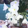 Helen Leveron - @helenleveron - TikTok