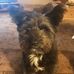 Helen Lieber - Facebook