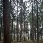 Helen Lines - @hellsethnat16 - Instagram