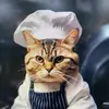 helen lines - @helen.lines0 - TikTok