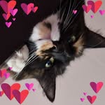 Helen Lines - @helen.watkins.96 - Instagram