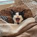 Helen Maclean - Facebook