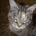 Helen Maclean - Facebook