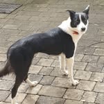 Helen Macrinn - @helenmacrinn - Instagram