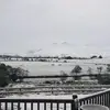 @nyams15 - @helenmacrinn - TikTok
