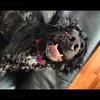 Helen Maher - @teddyp30 - TikTok