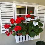 Helen Malin - Facebook
