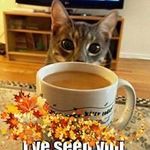 Helen Malone - @helenmalone4444 - Instagram