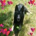 Helen Marion - Facebook