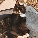 Helen McCormack - @mccormack3756 - Instagram