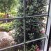 Helen McRae - Facebook
