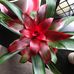 Helen Brown - Facebook