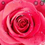 Helen Melling - @melling_helen_66 - Instagram
