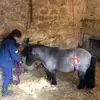 helenlmelling - @helenlmelling74 - TikTok