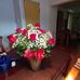 Helena Mobley - Facebook