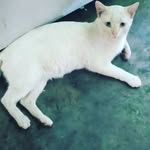 Helen monday - @neyilis696 - Instagram