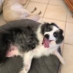 Mary Helen Mulhern - @mareshm7 - Instagram