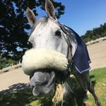 Helen Needham - @helen.needham70 - Instagram
