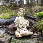 Helen Needham - @greenladybroadcasting - Instagram