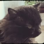 Helen Nickerson - @nickersonhelen - Instagram