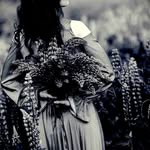 Helen Ogden - @helenogden645h42 - Instagram