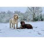Helen Ogle - @helenogle - Instagram