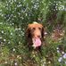 Helen Oldham - Facebook