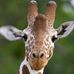 Helen Oldham - Facebook