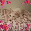 Helen Parsons - @helen.parsons90 - TikTok