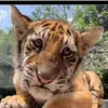 helenmalpartida - @helenmalpartida - TikTok