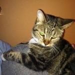 Helen Parton - @hpartonco - Instagram