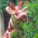 Helen Passmore - Facebook