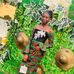 Helen Patrick - Facebook