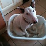 Helen Pepper - @helraisinhelen - Instagram
