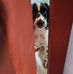 Hellen Pepper - Facebook